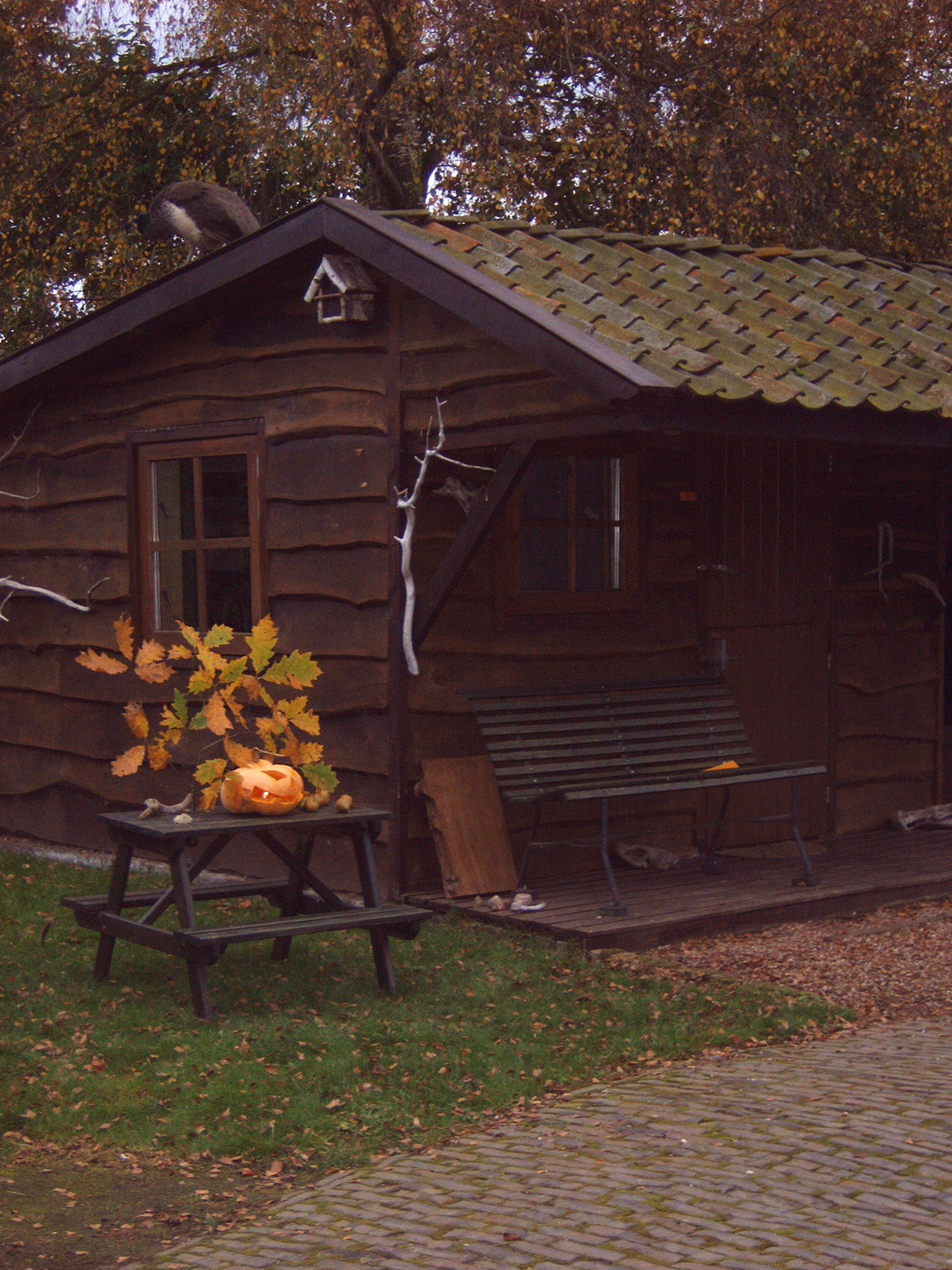 Casa nella natura a Vorden