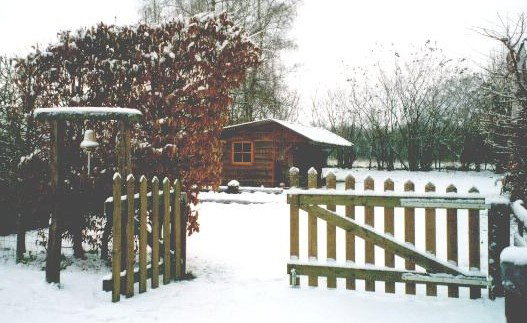 - image: 20