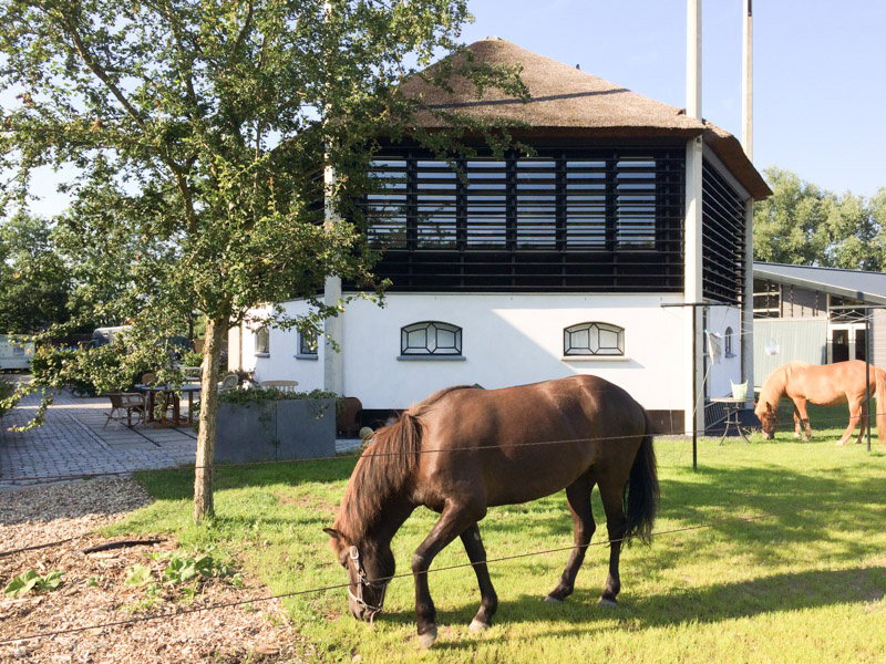 Maison nature à Weesp