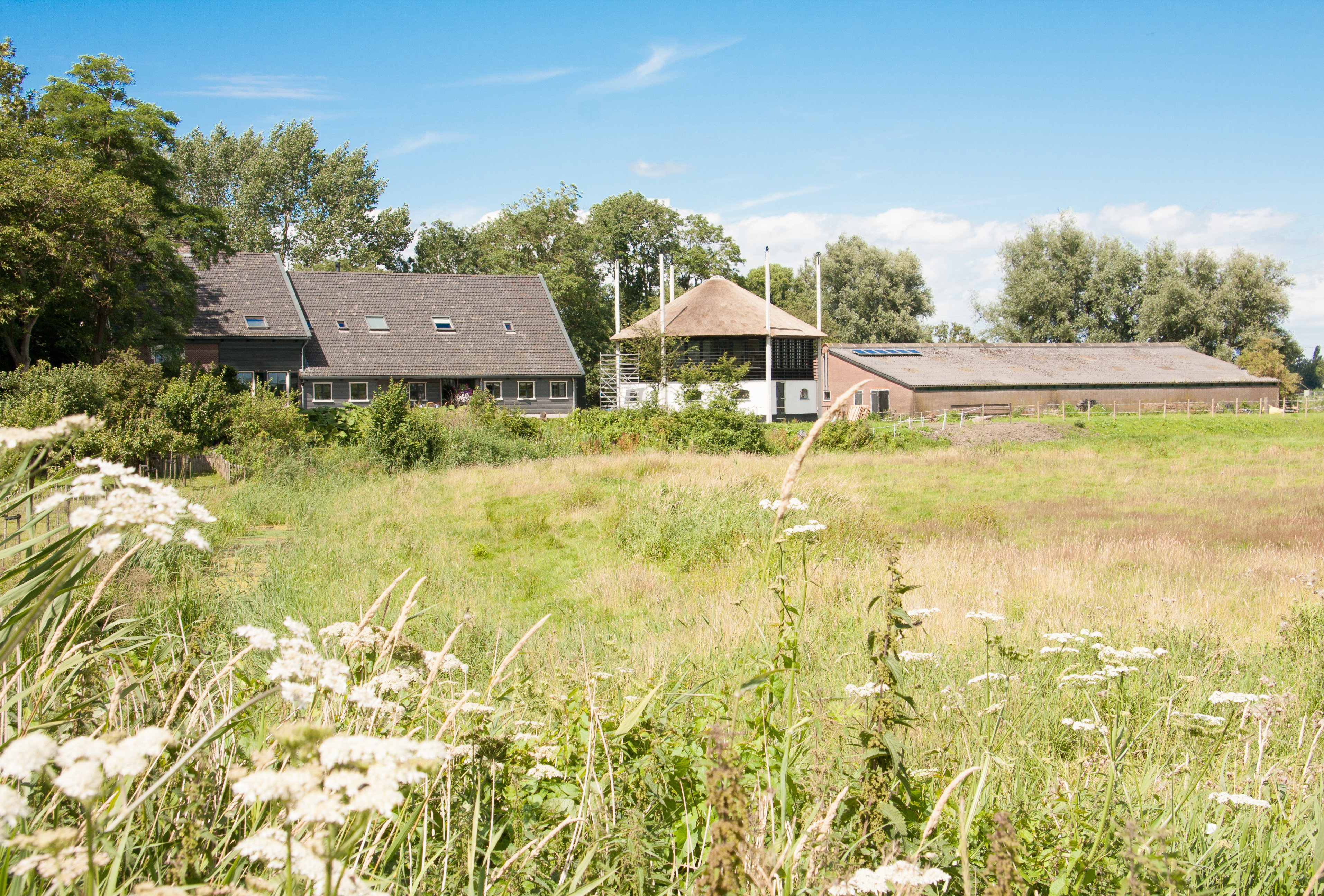 Maison nature à Weesp