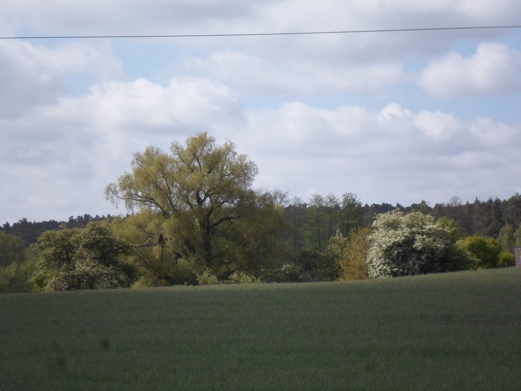 - image: 18