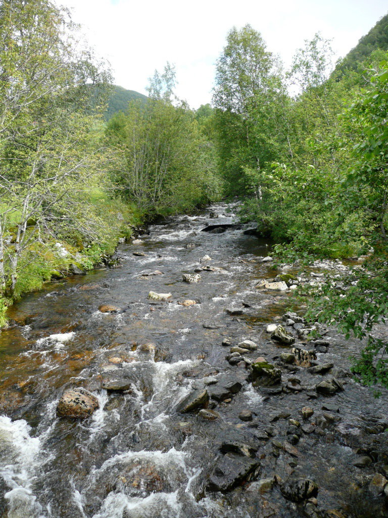 - image: 28