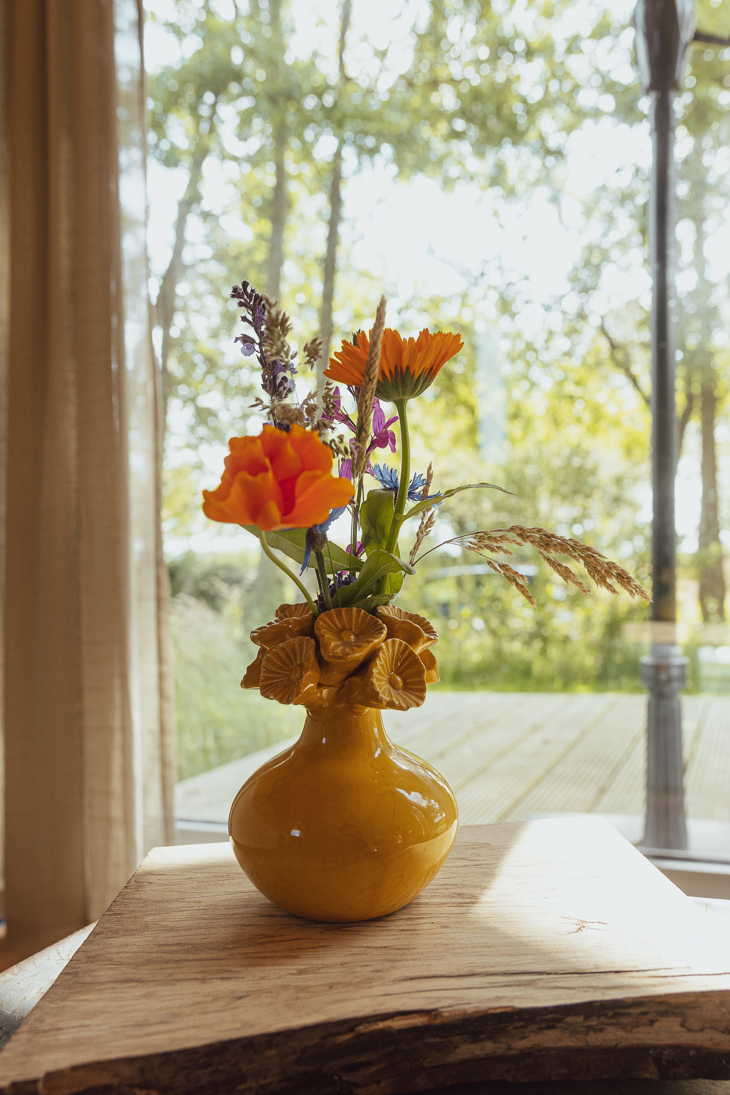 Maison nature à Ruinen