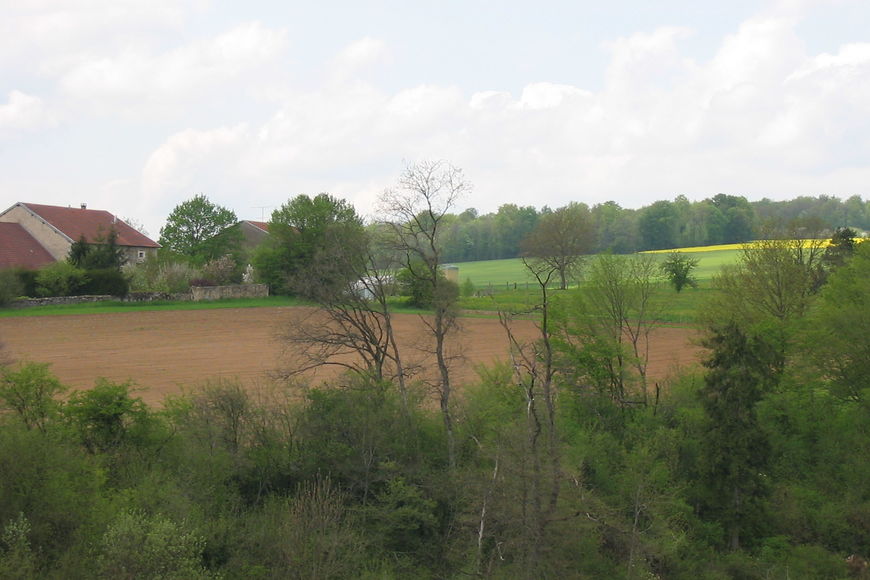 - image: 26