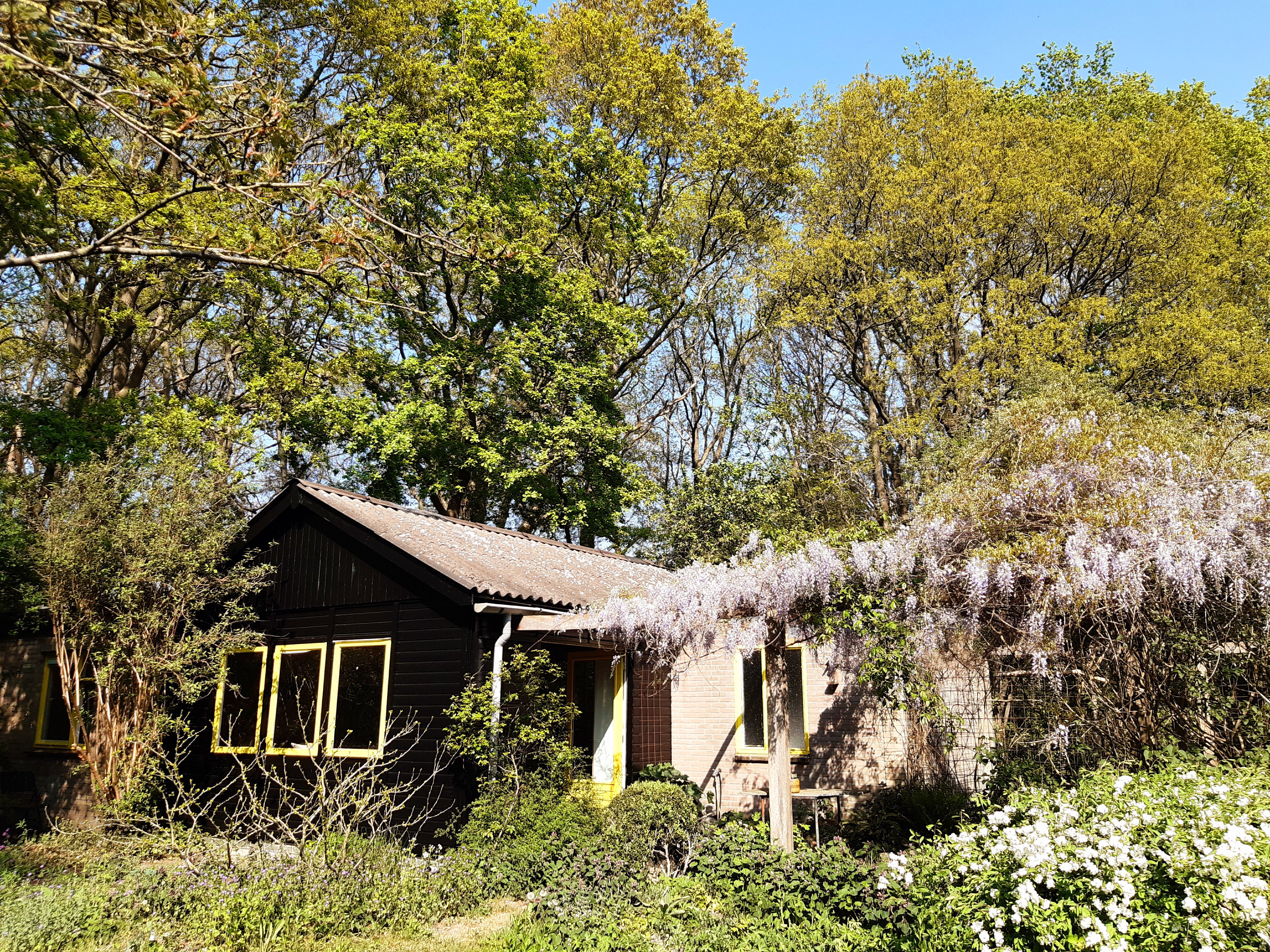 - image: 17