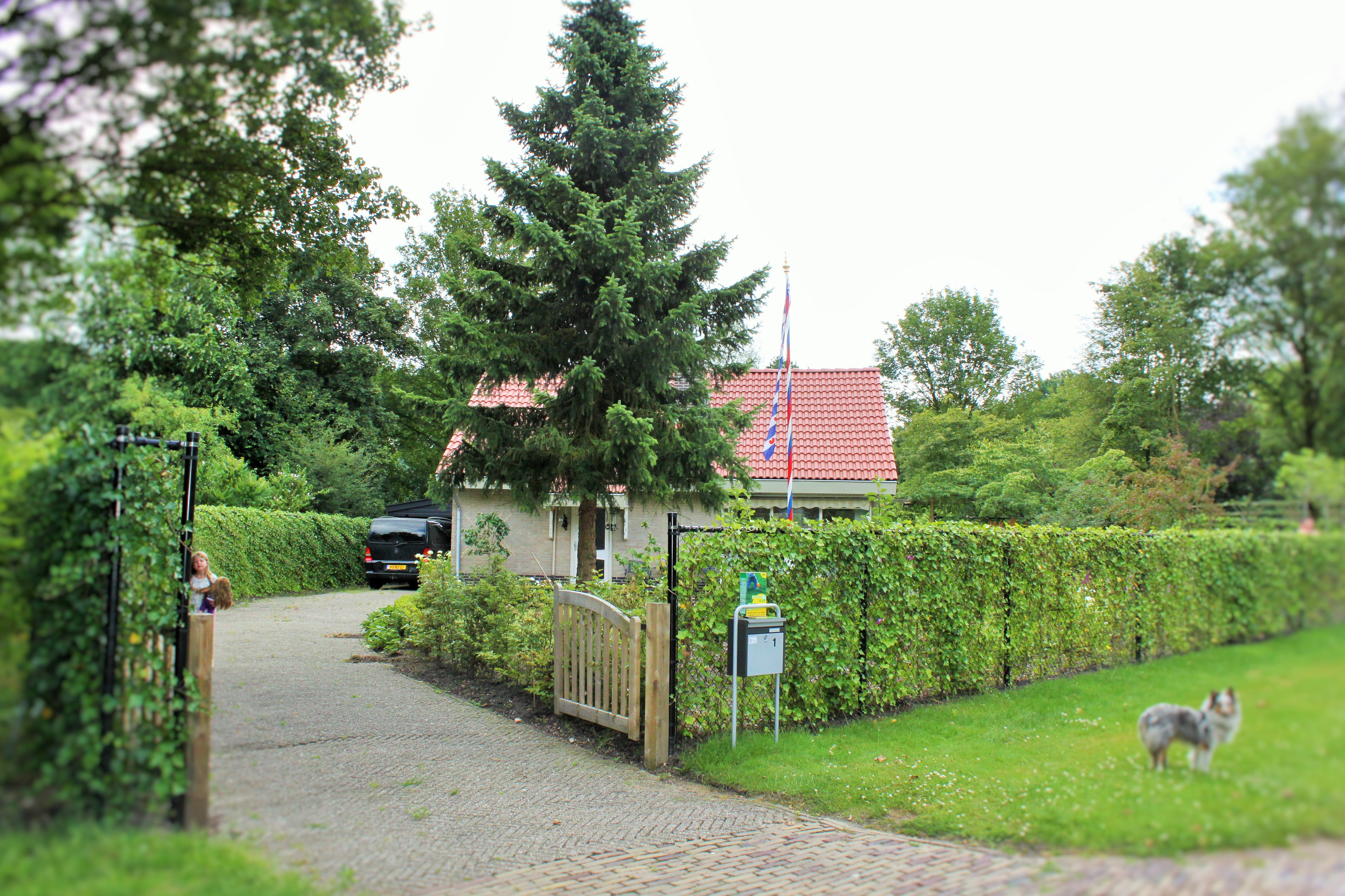 - image: 21