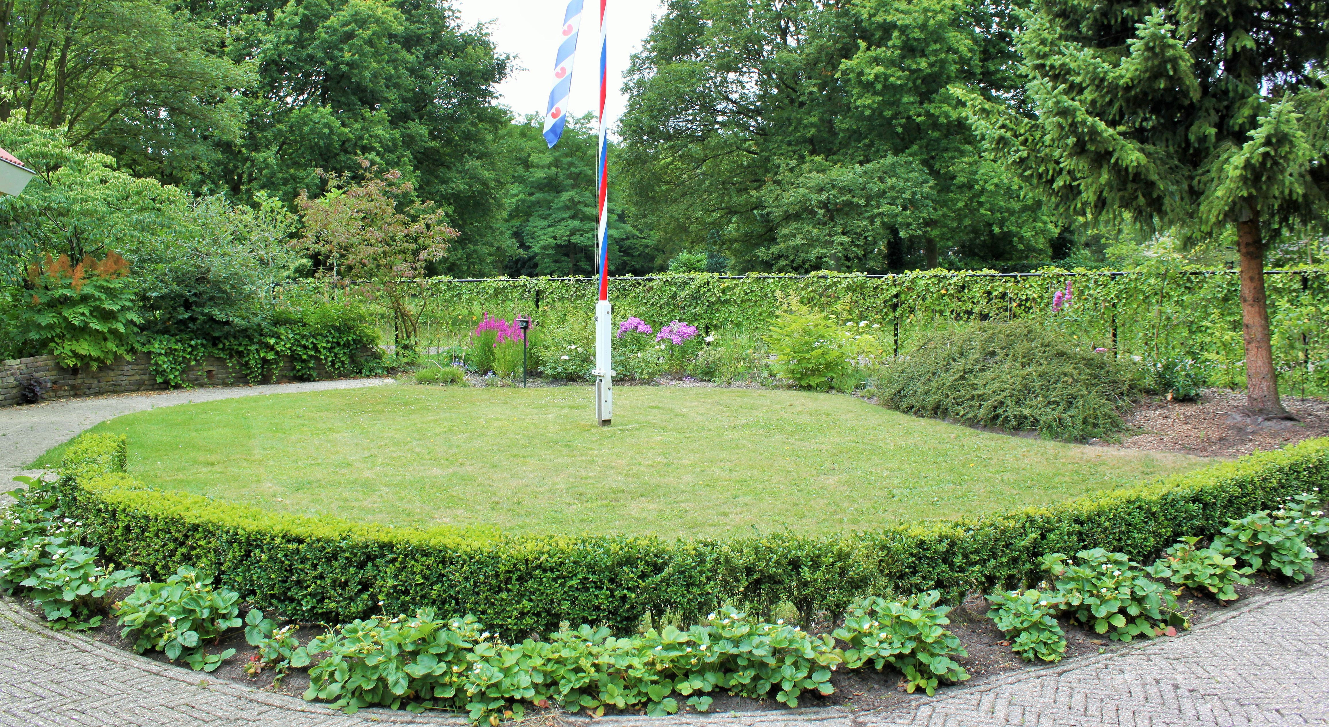 - image: 29