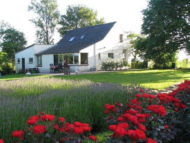 Nature house in Oostburg