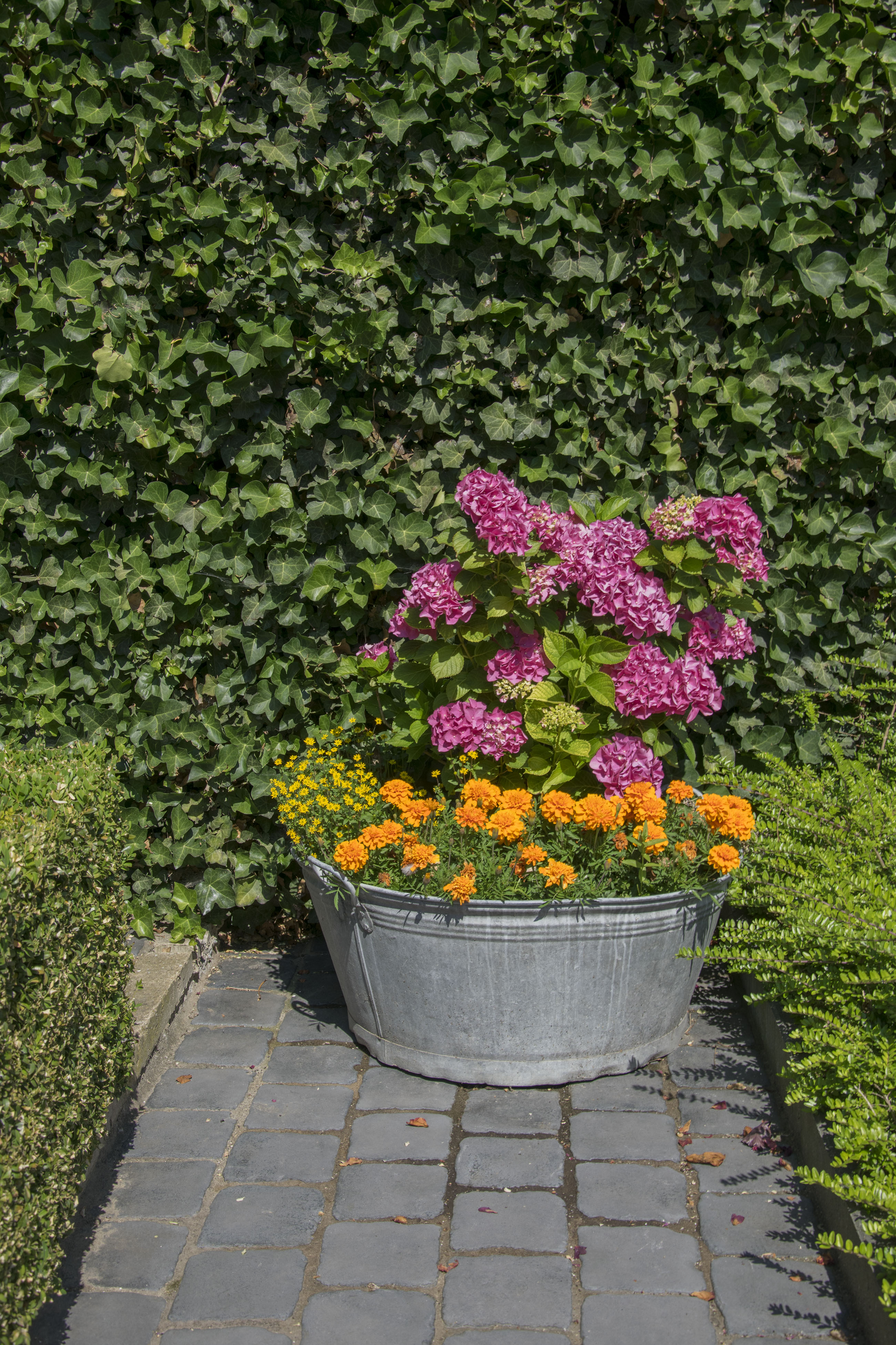 Natuurhuisje in Herderen