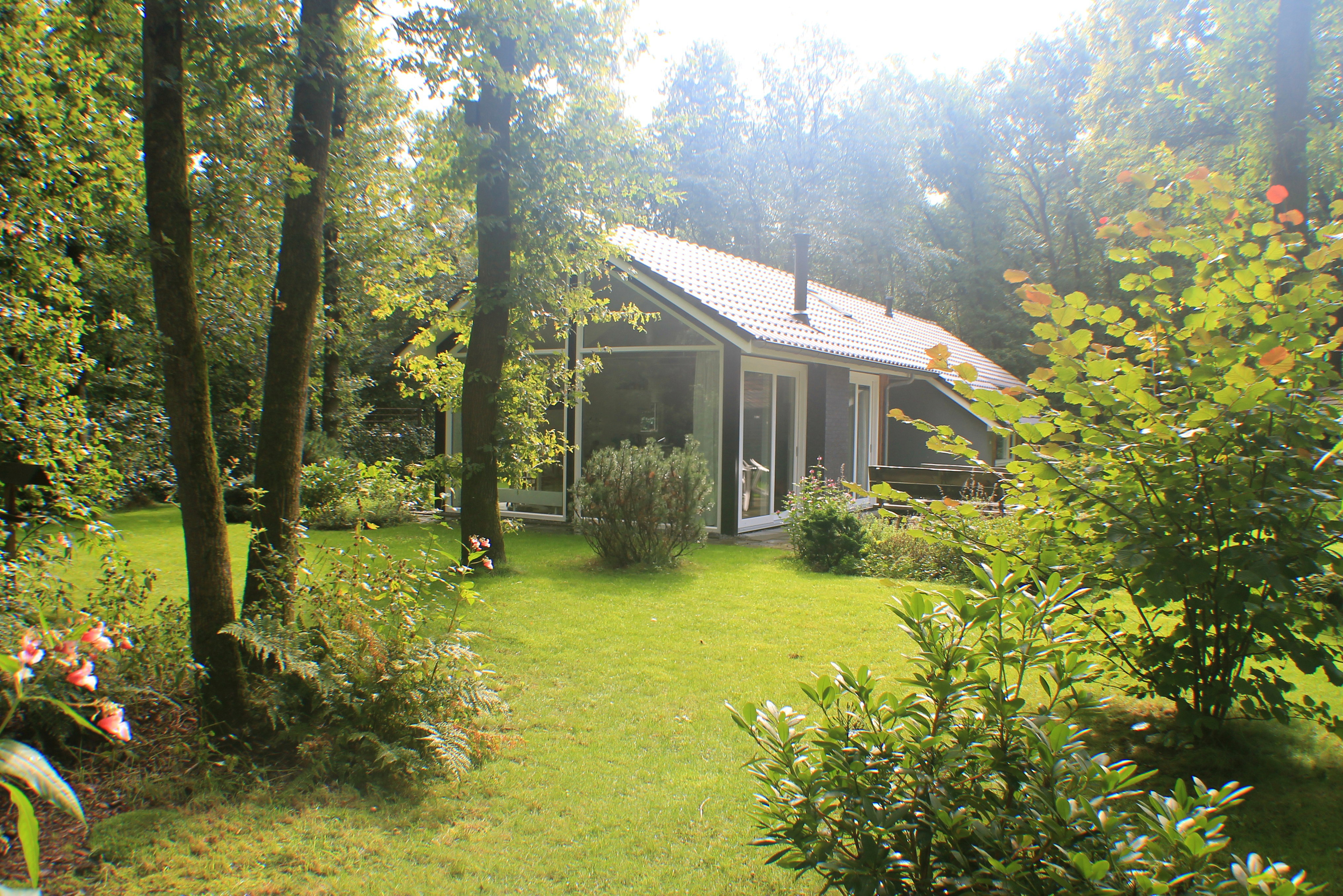 Maison nature à Appelscha