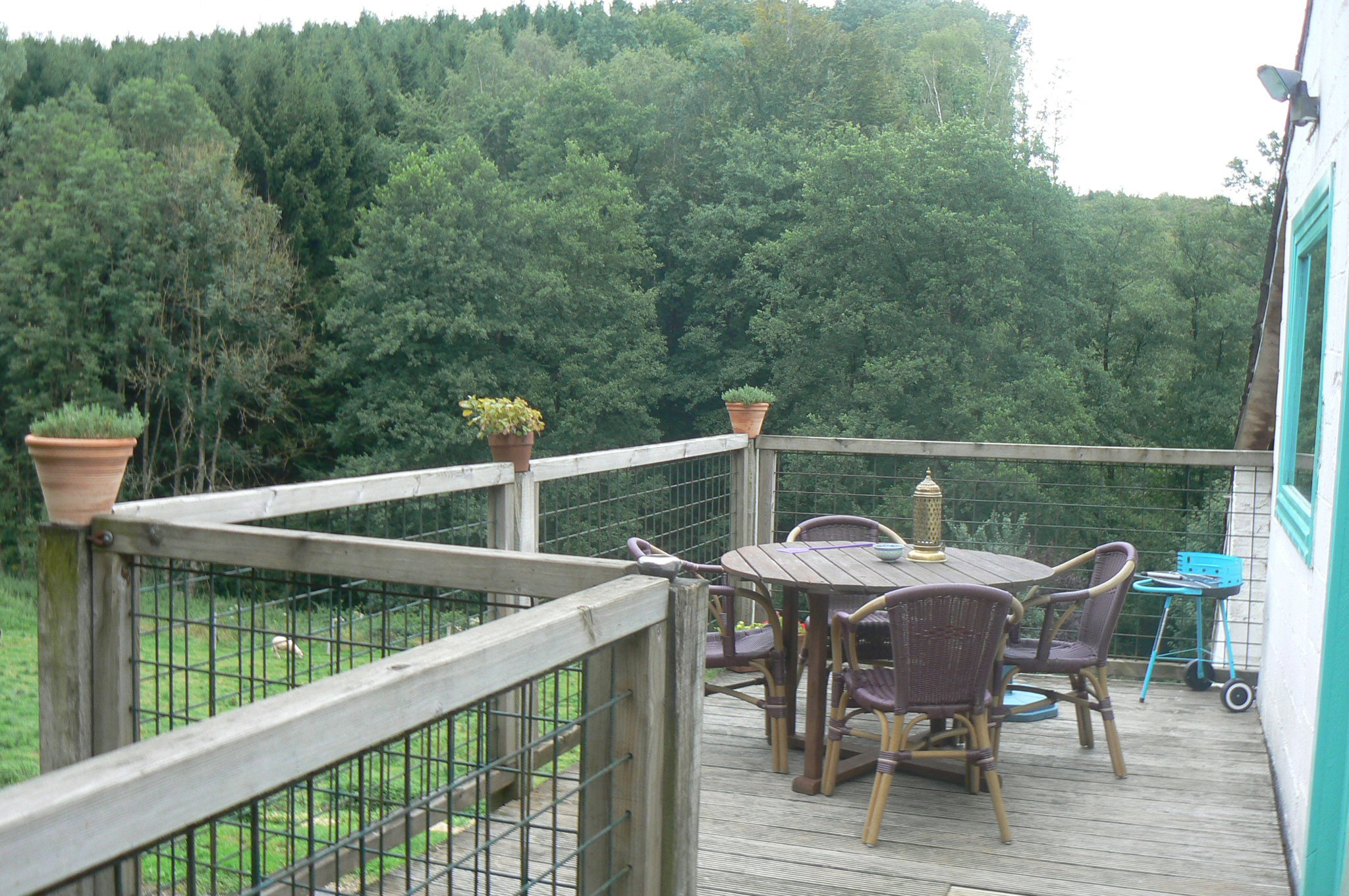 Natuurhuisje in grimbiemont