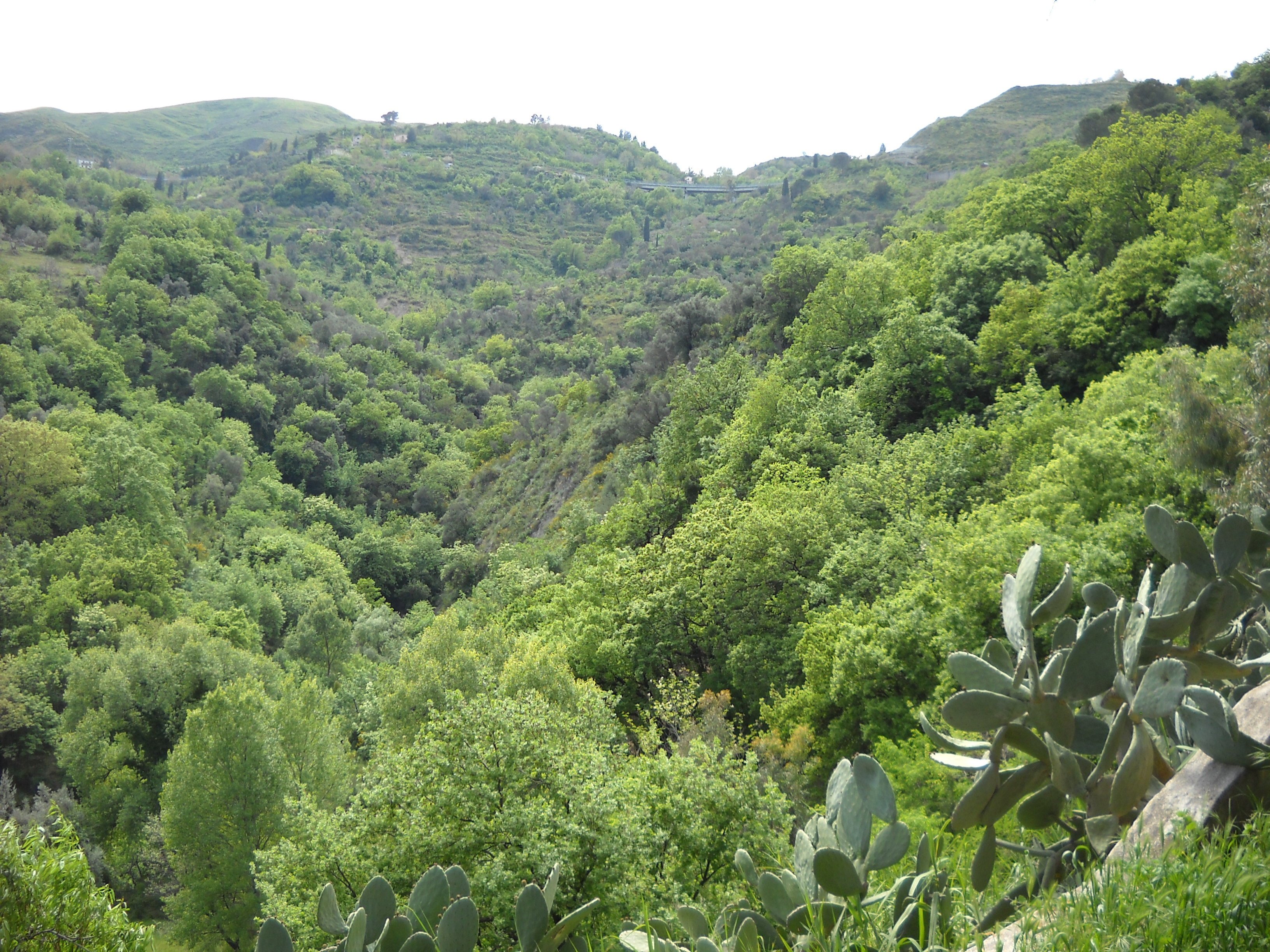 - image: 11