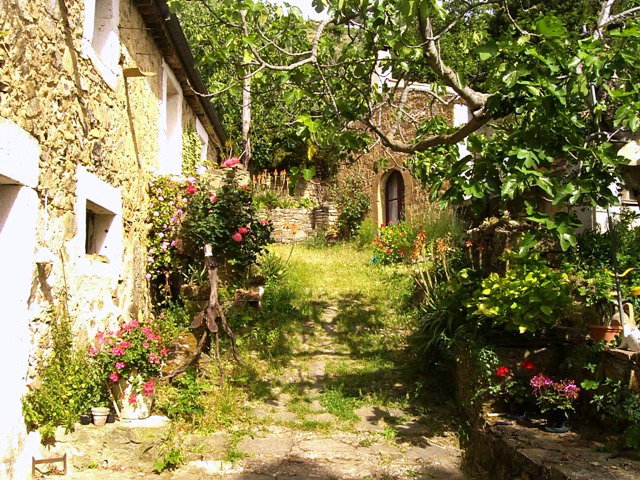 - image: 16