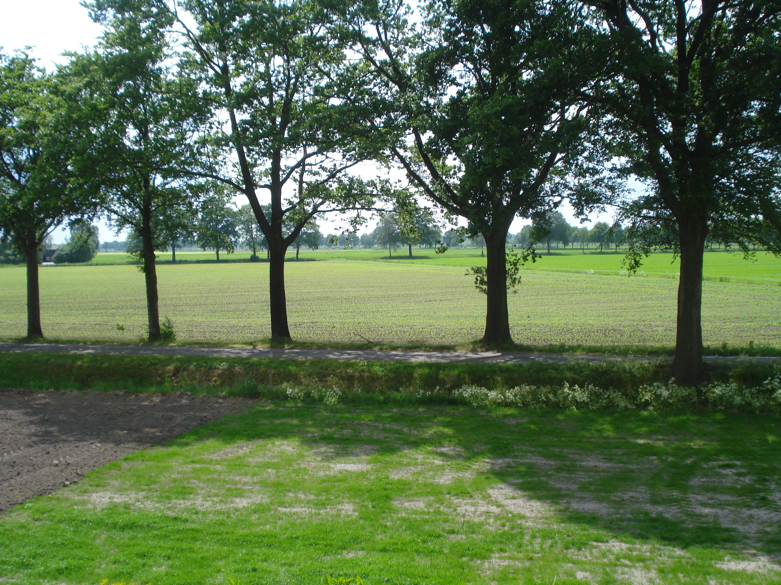 - image: 16