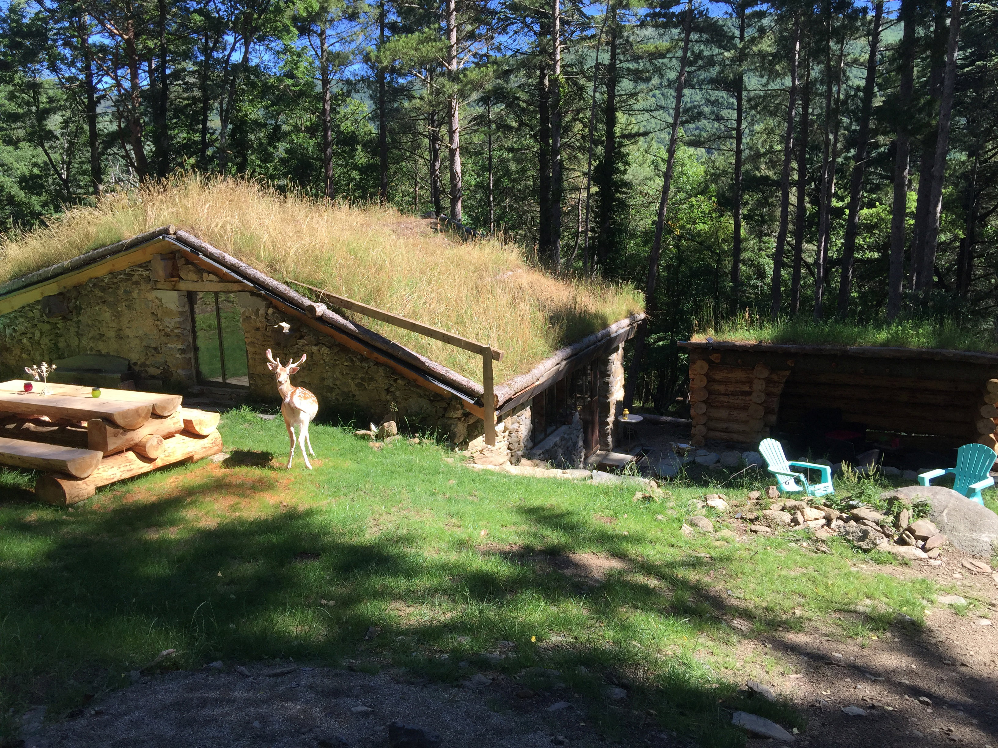 Naturhäuschen in Mosset