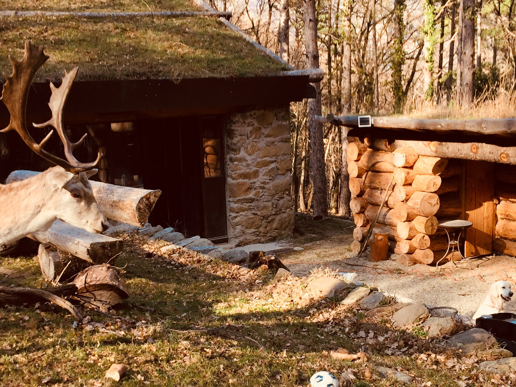 Naturhäuschen in Mosset