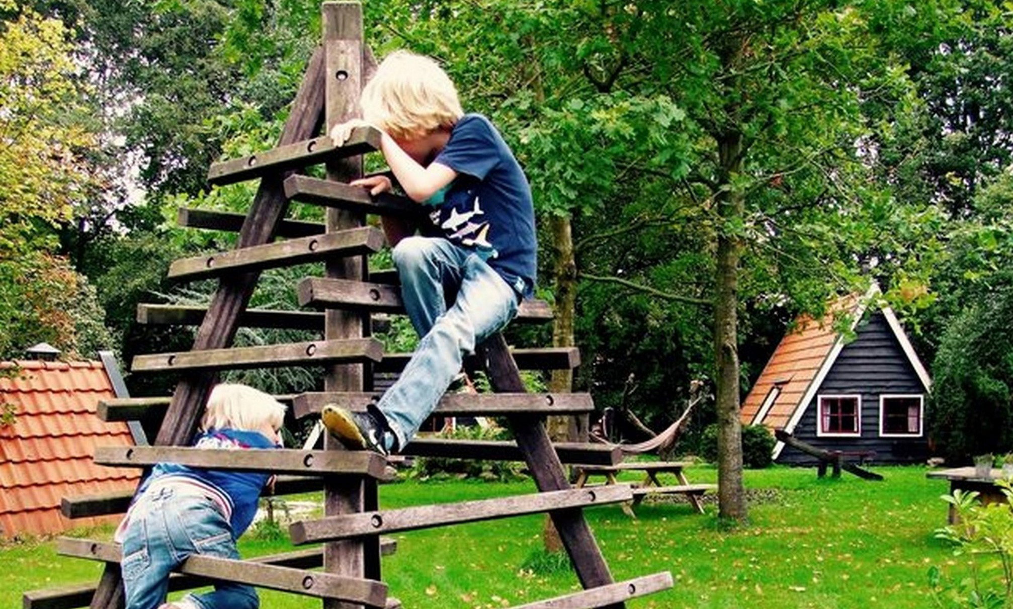 - image: 11