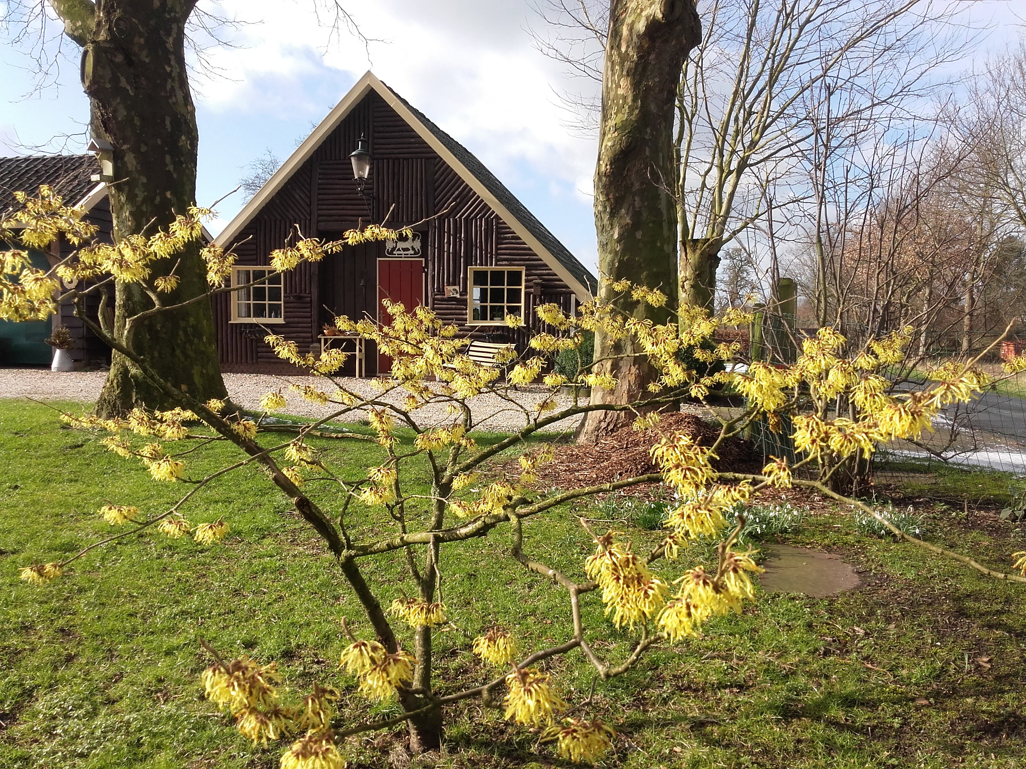 Naturhäuschen in Vorden