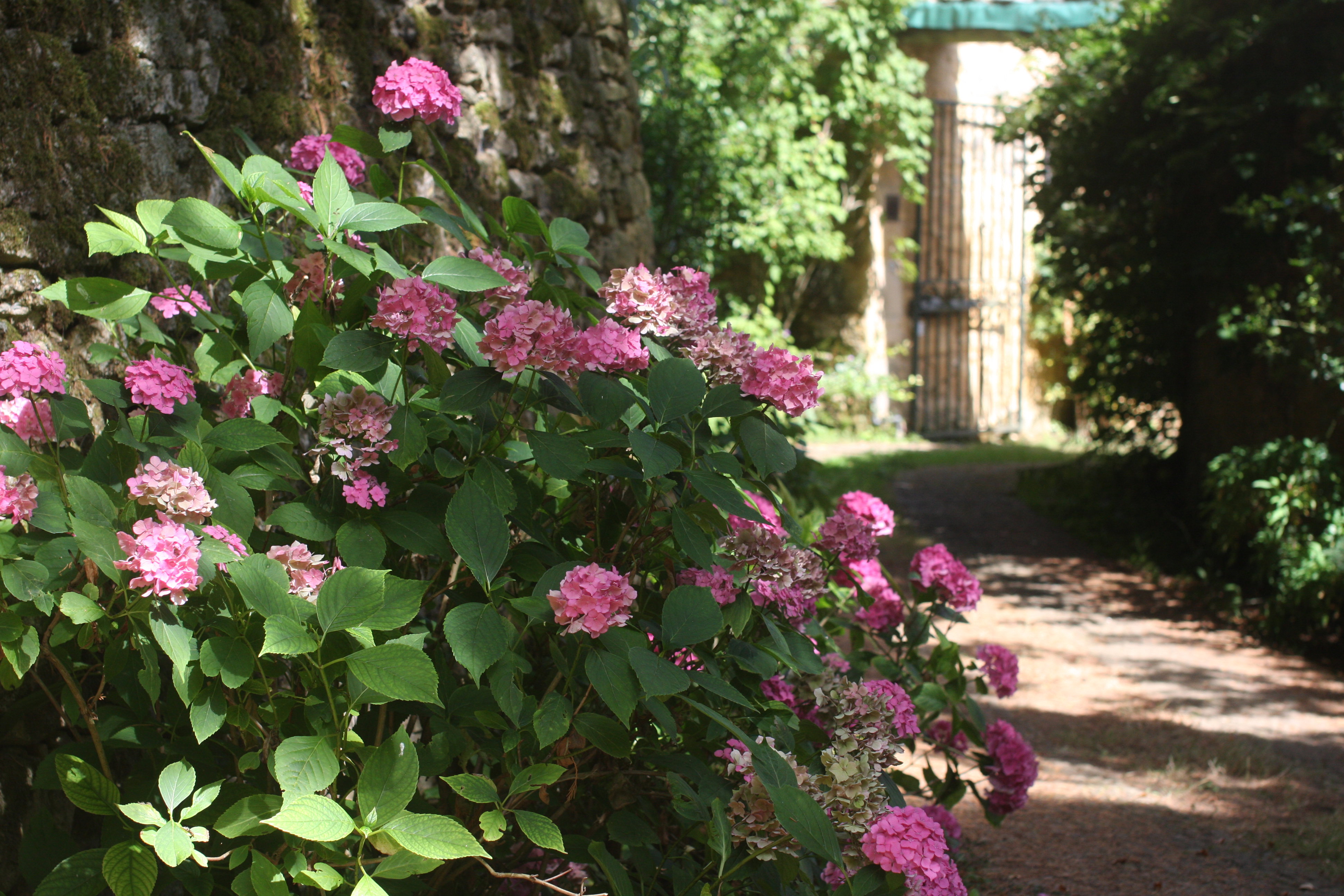 Maison nature à Veyrignac