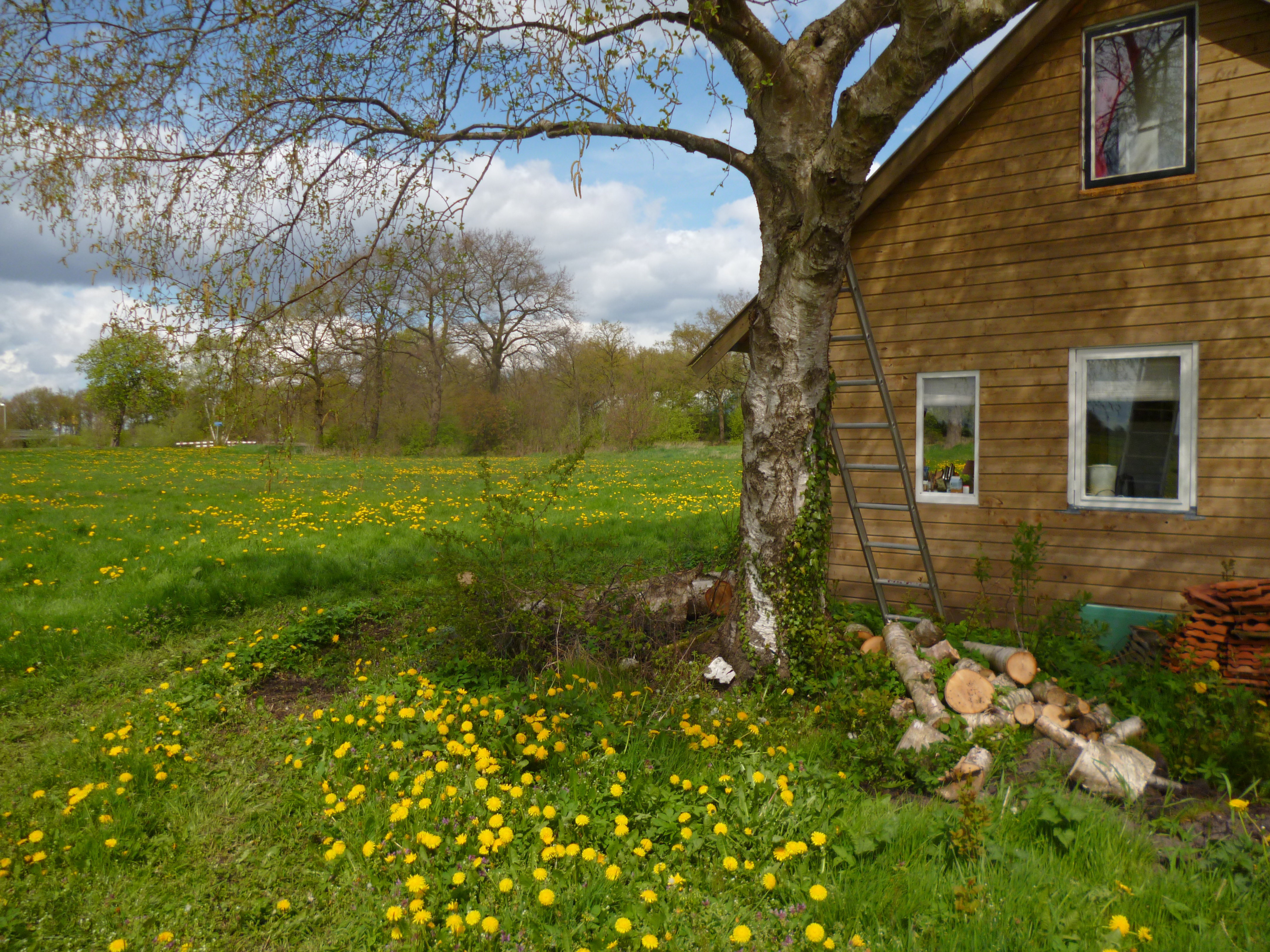 Nature house in Nieuw-Dordrecht