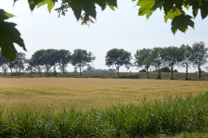 Maison nature à Arnemuiden (Kleverskerke)