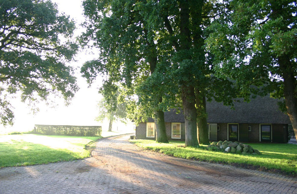 - image: 16