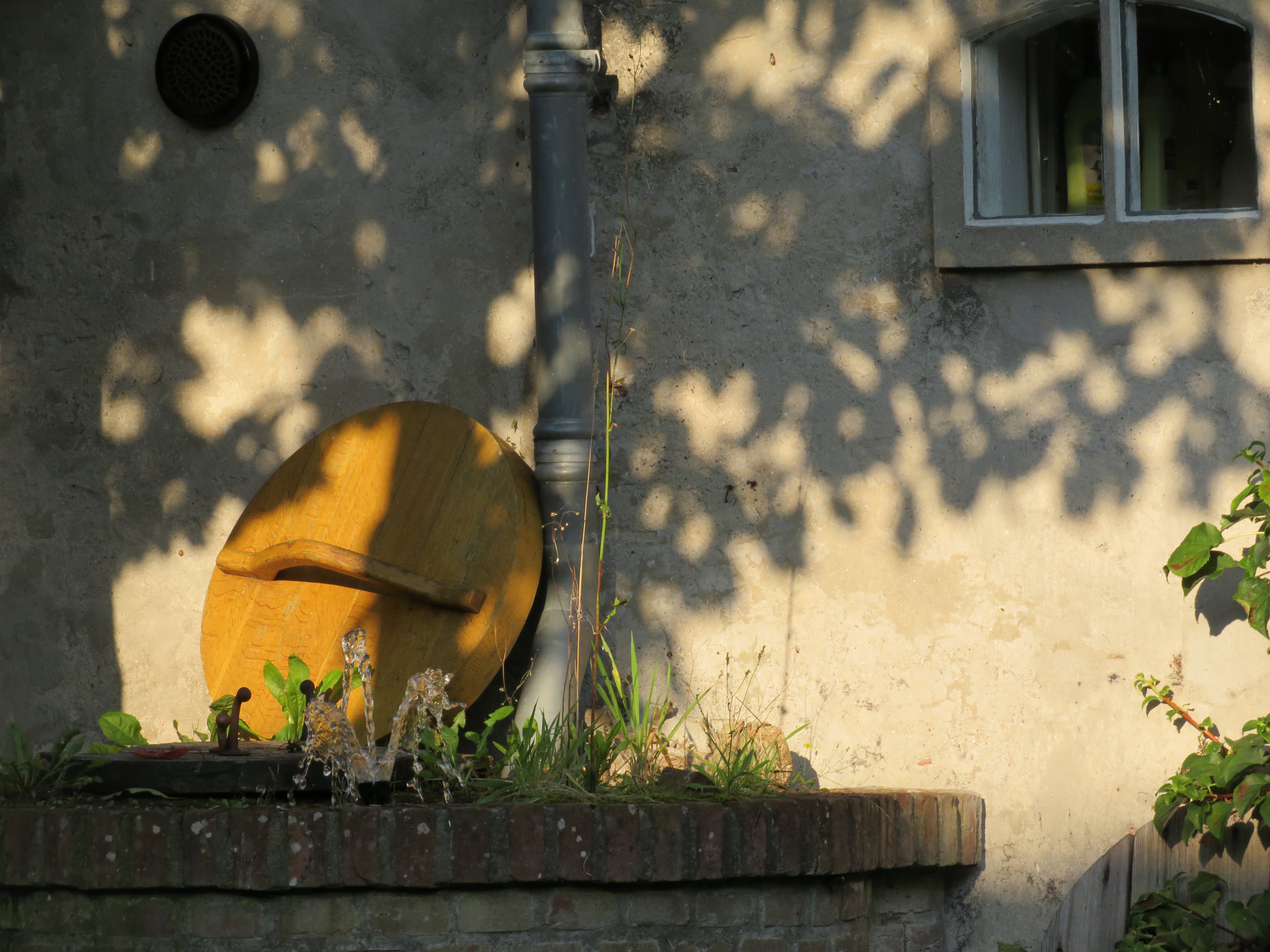 - image: 43