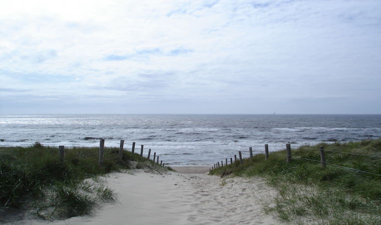 - image: 52