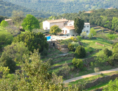 - image: 13