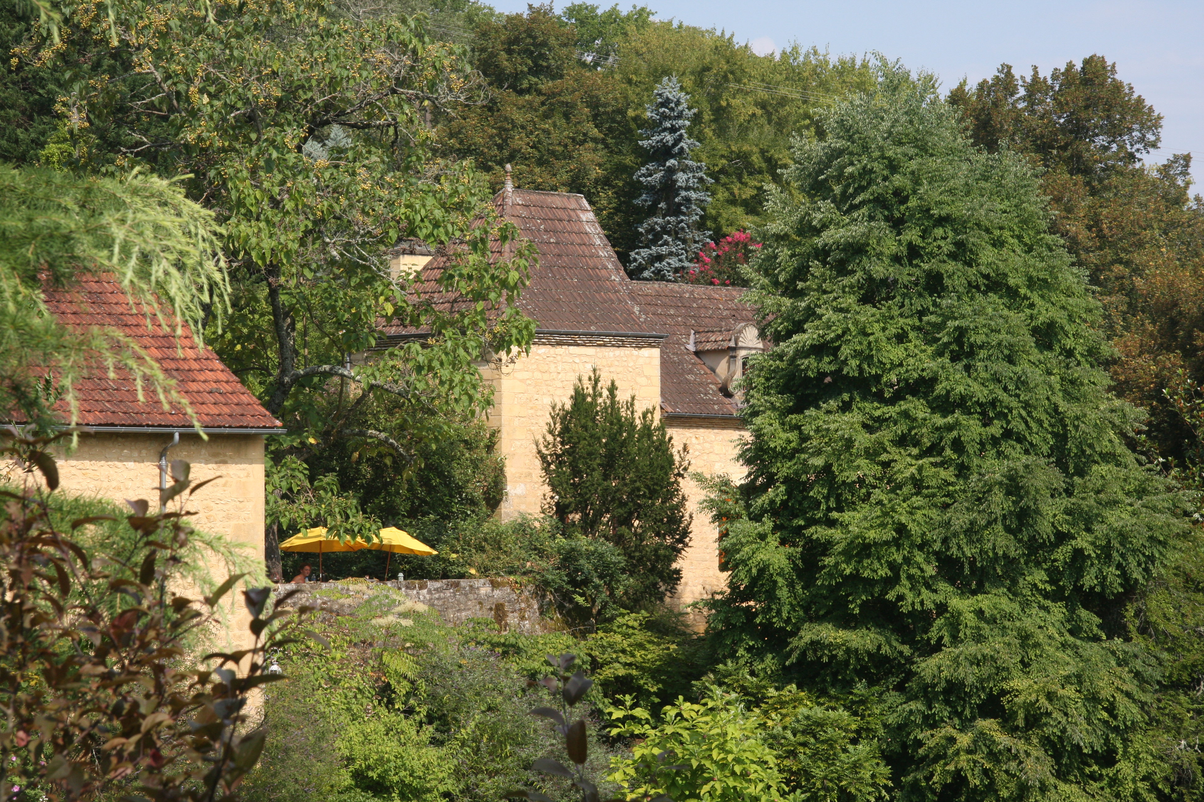 - image: 1