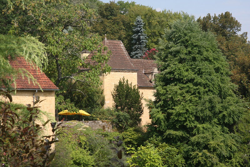 - image: 29