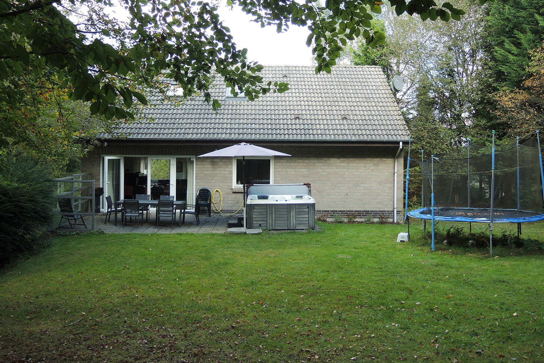 - image: 16