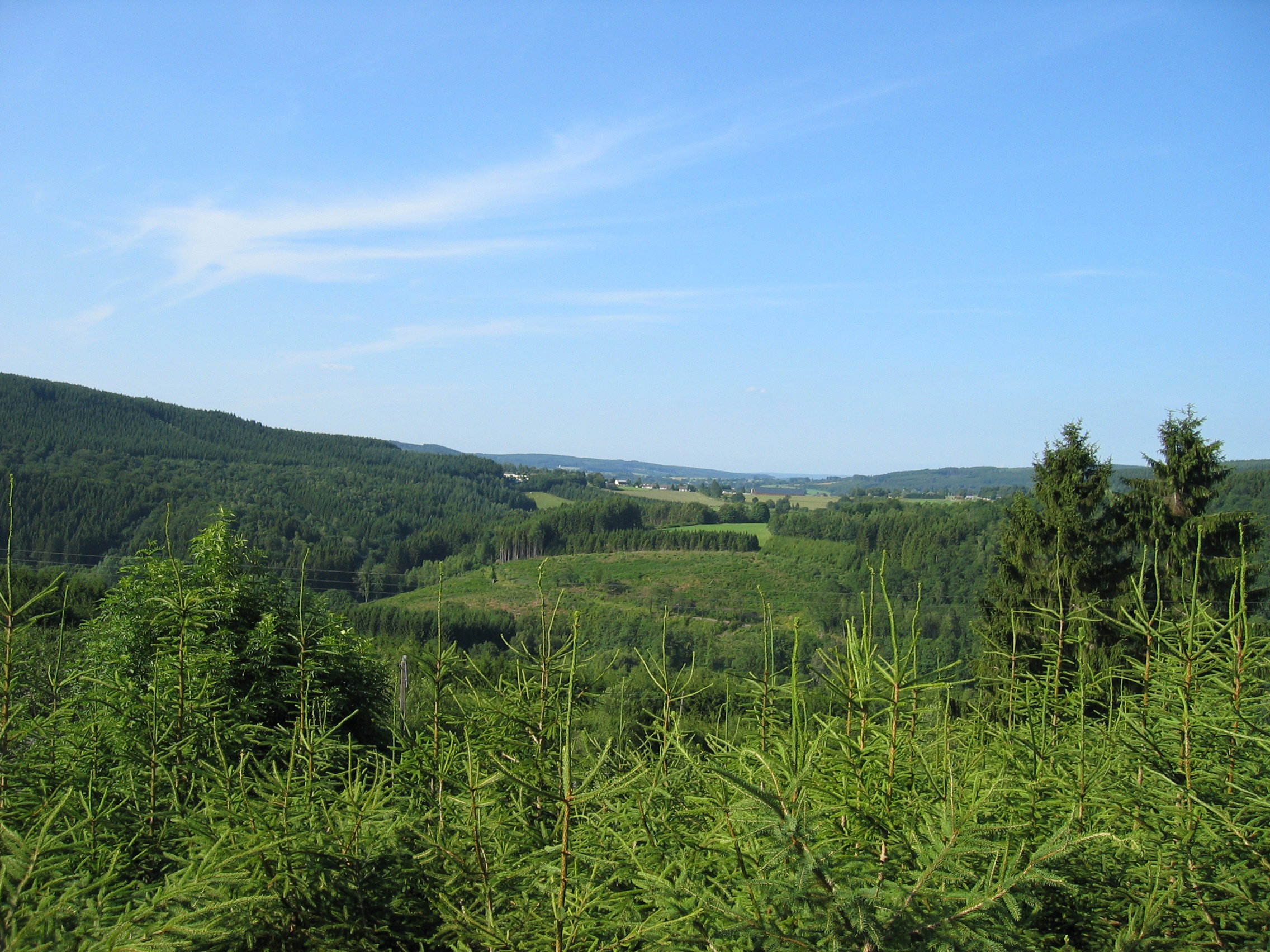 Maison nature à Dochamps
