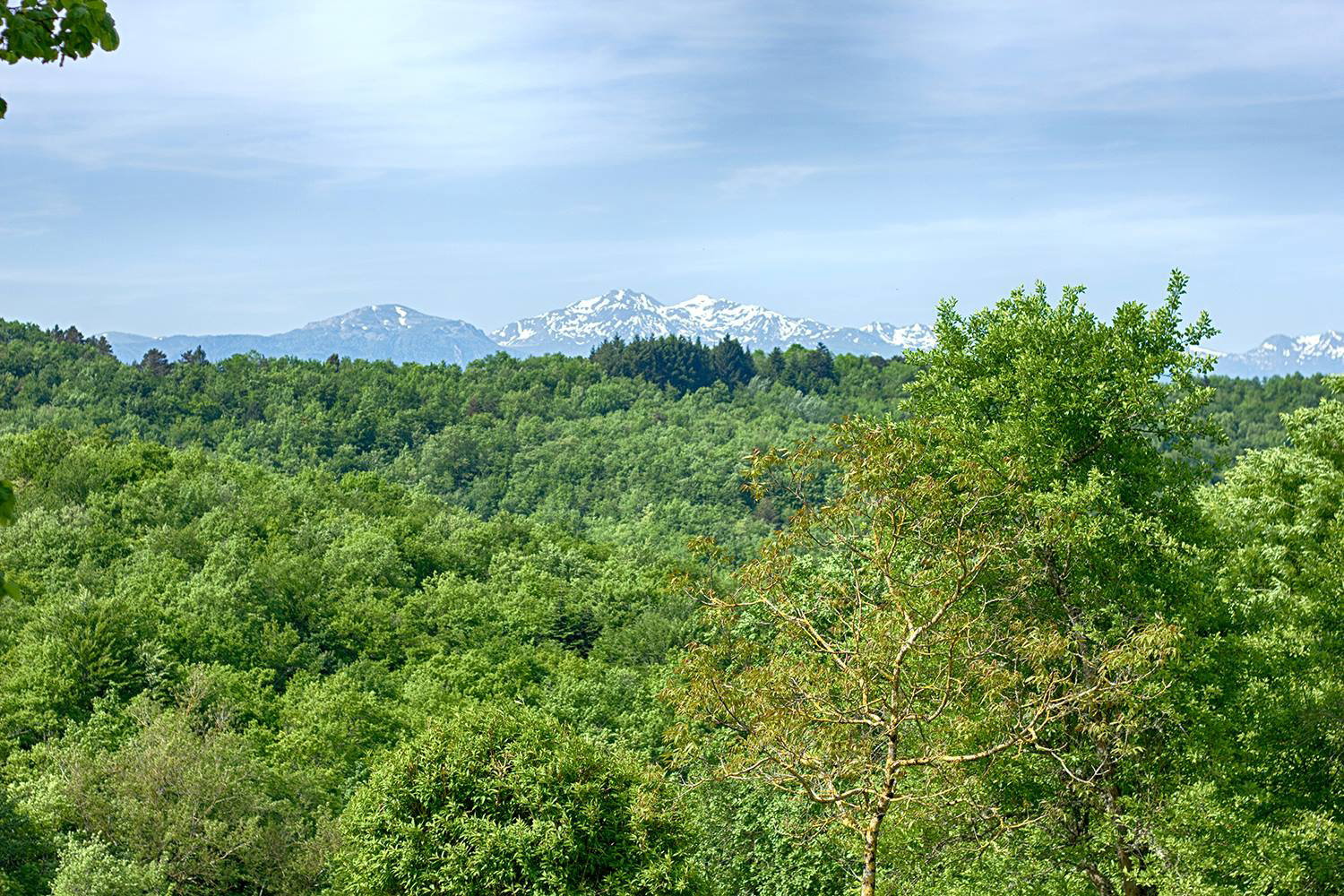 - image: 15