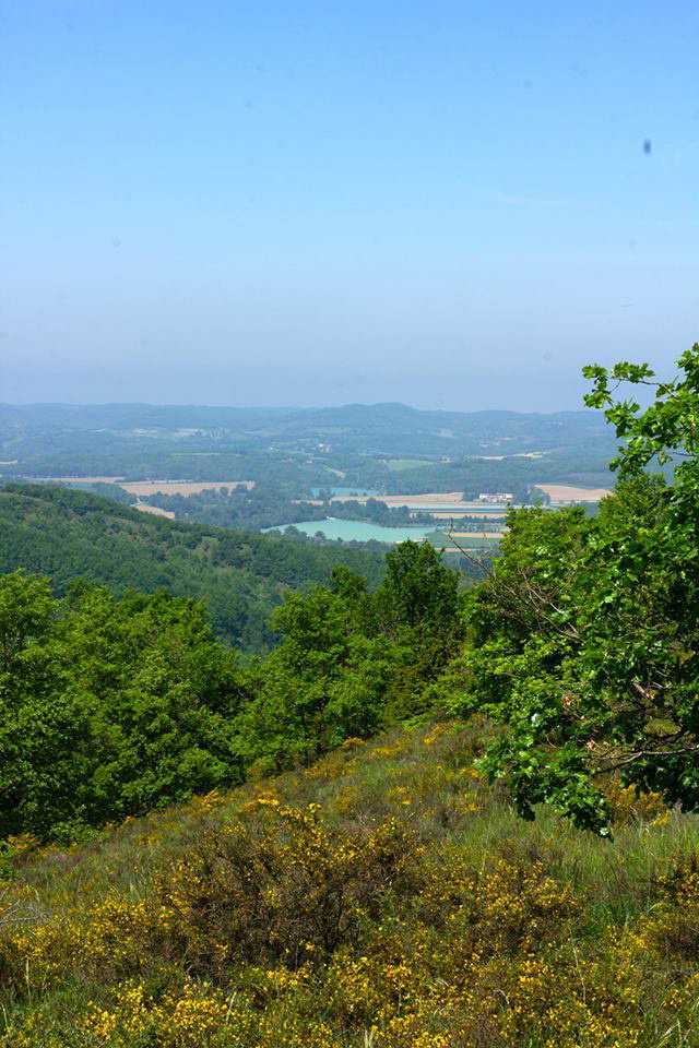 - image: 16