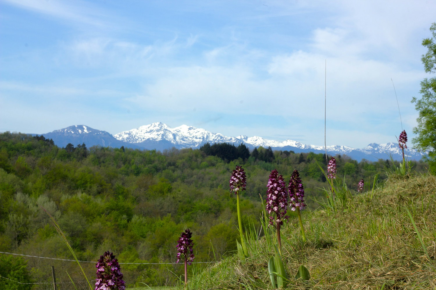 - image: 22