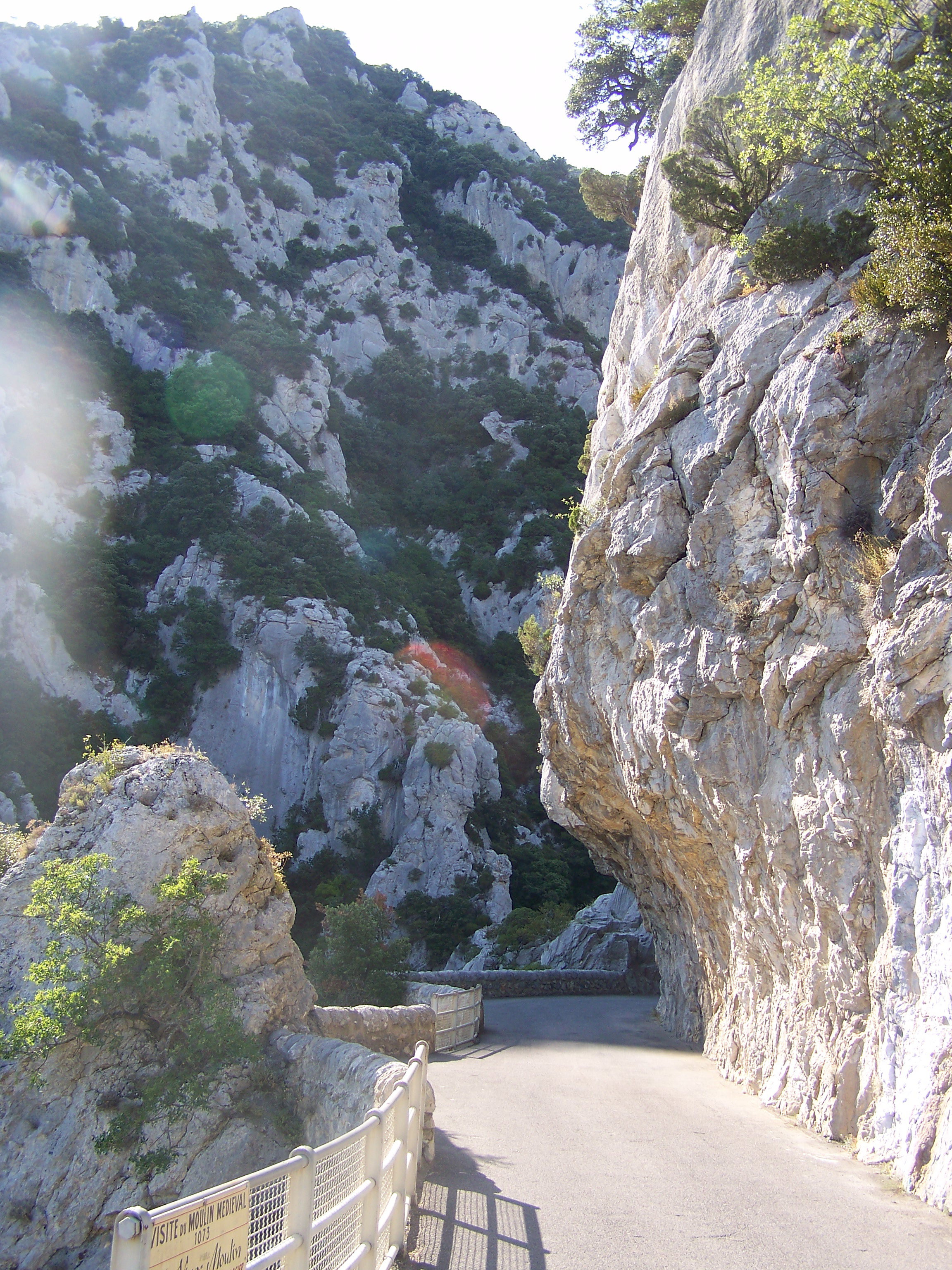 - image: 20