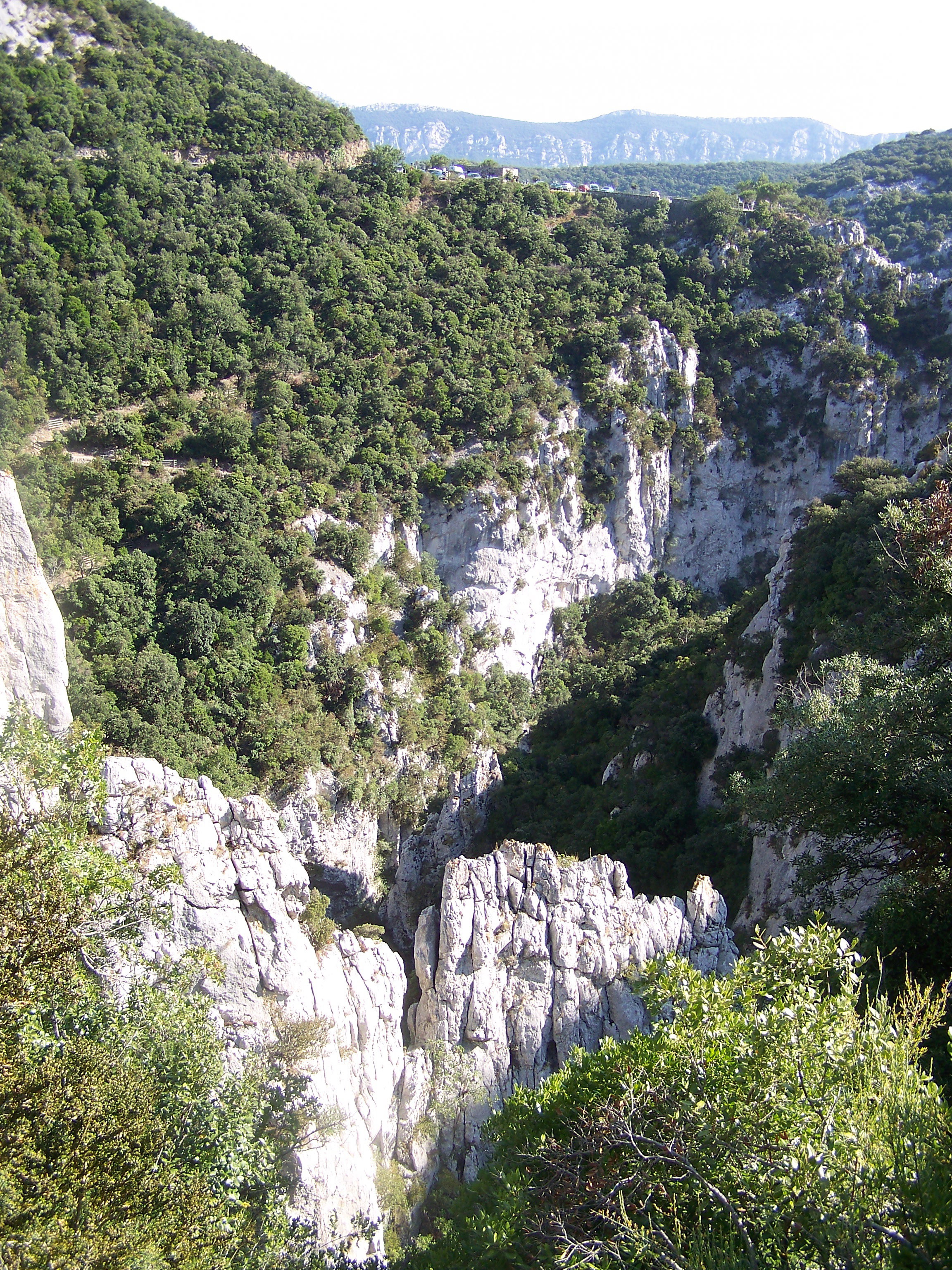 - image: 19