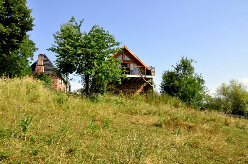 - image: 4