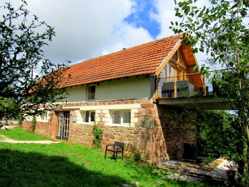 - image: 1
