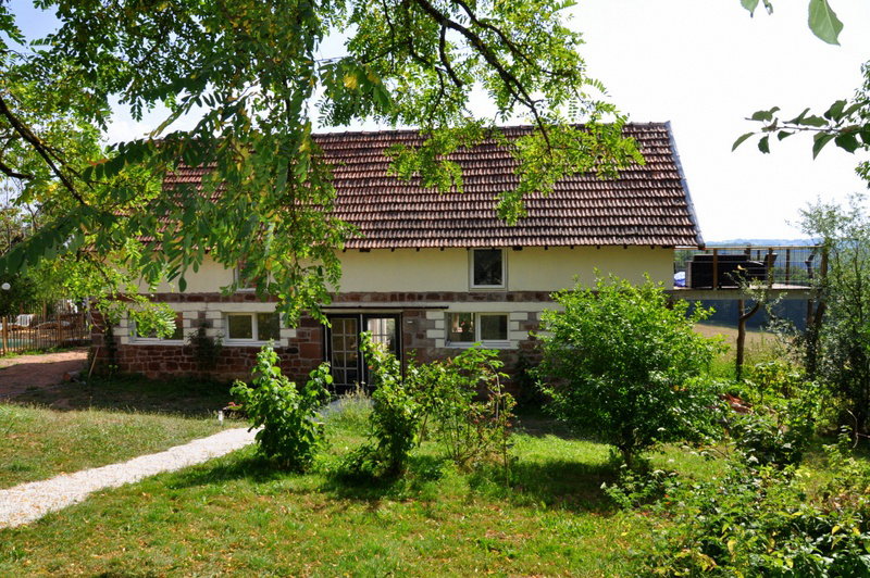 - image: 2