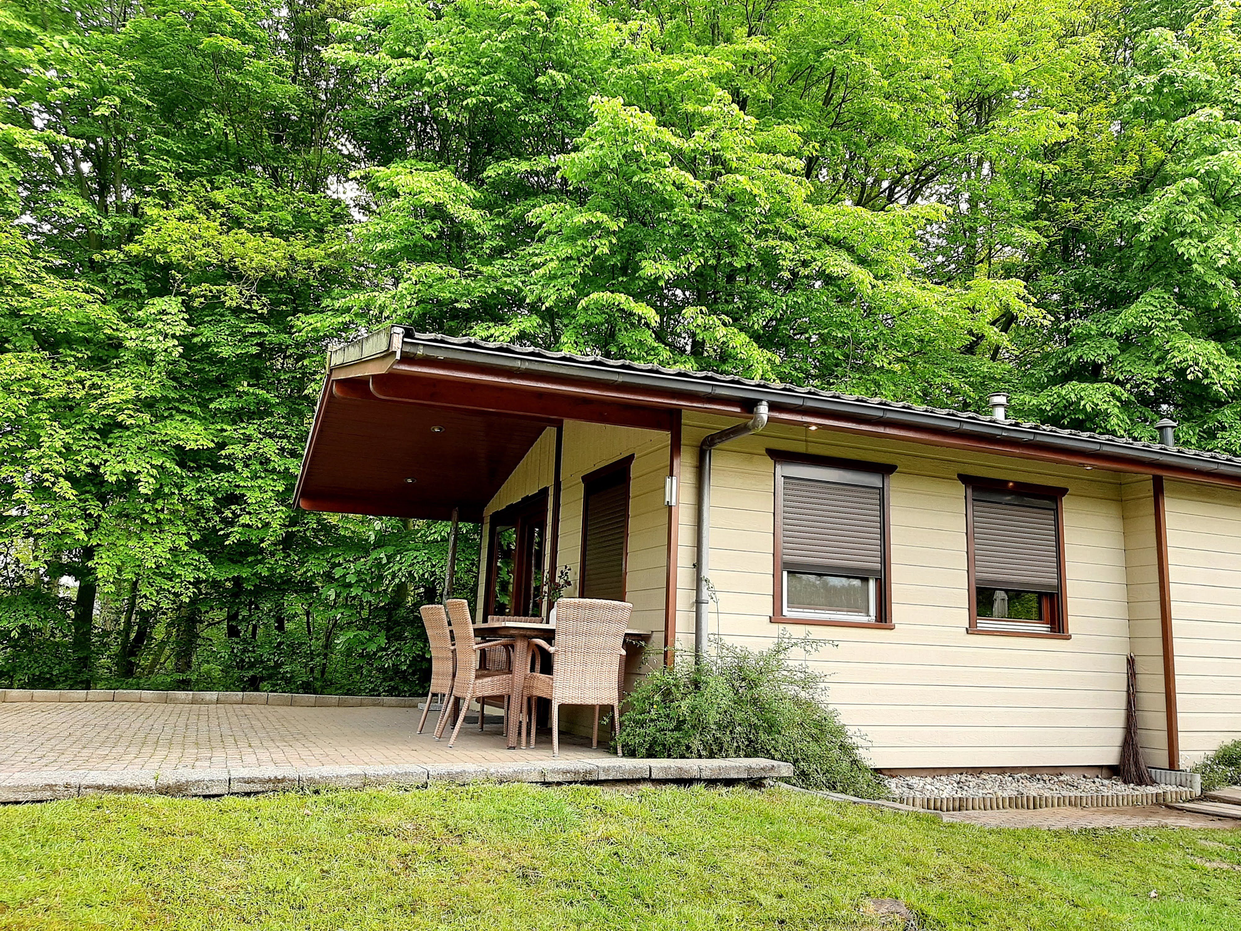 - image: 6
