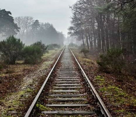 - image: 54