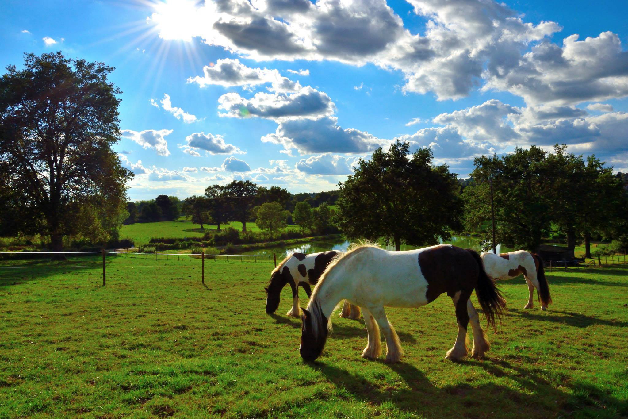 Natuurhuisje in Allier