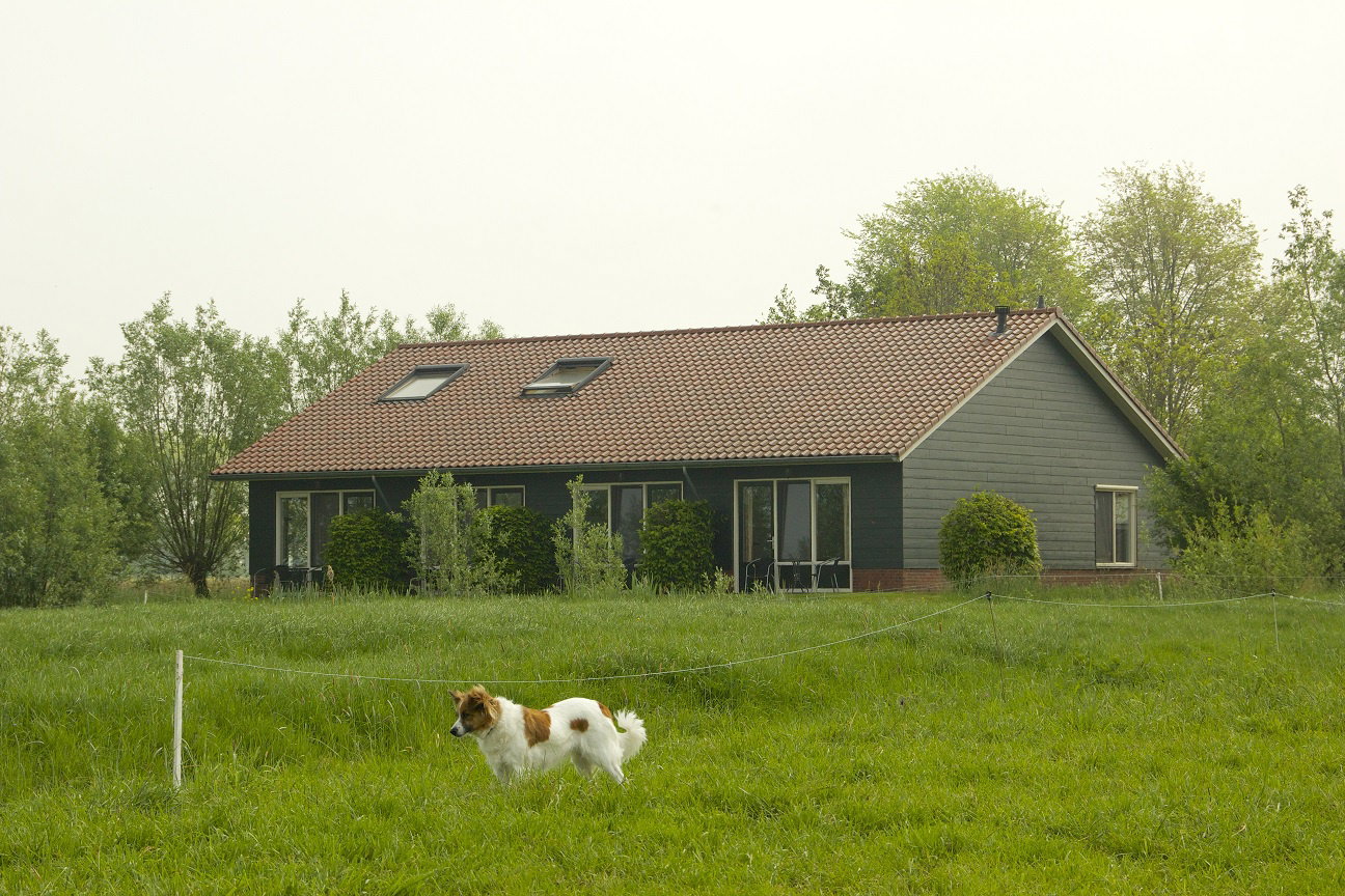 Naturhäuschen in Goudriaan