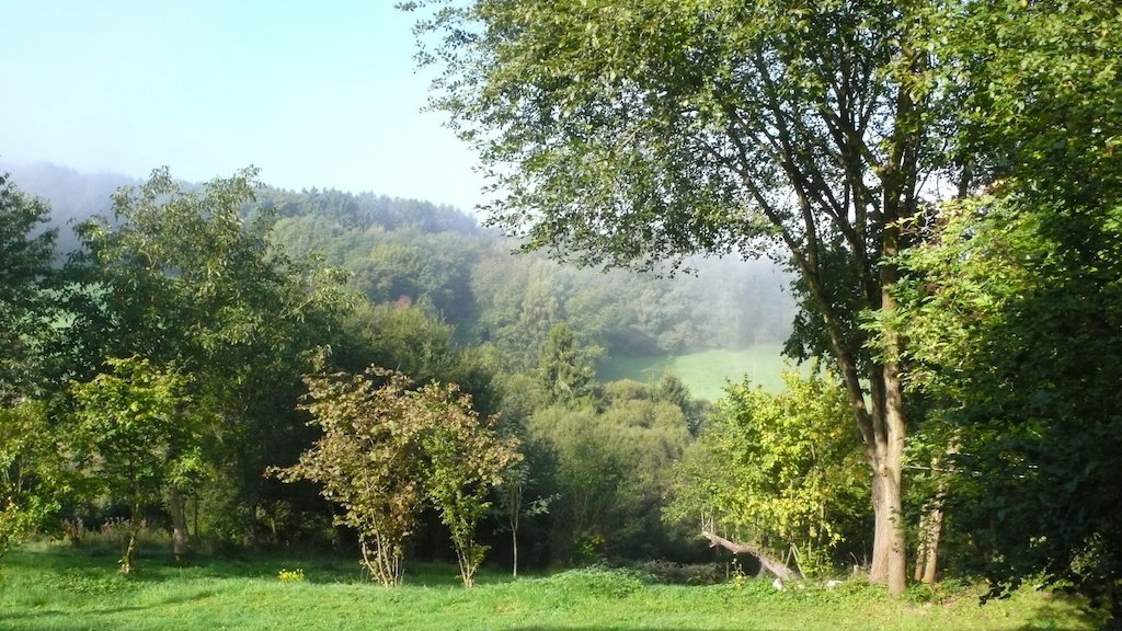 - image: 14