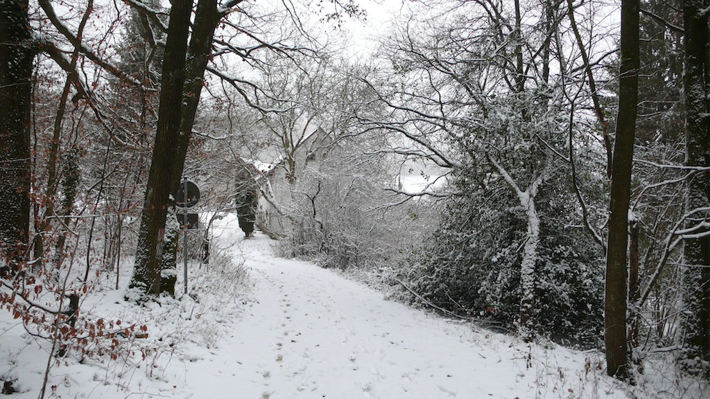 - image: 26