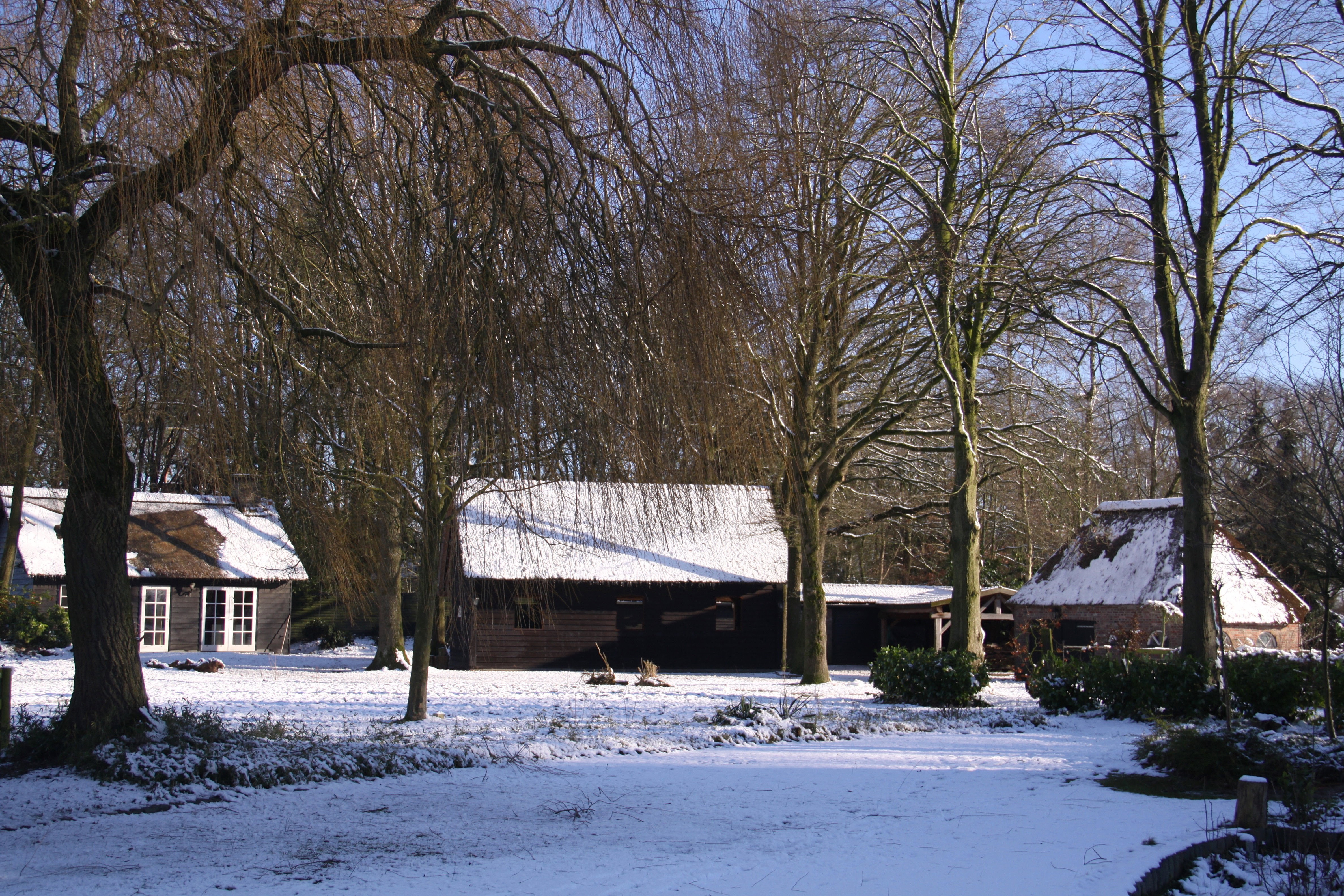 Naturhäuschen in Eersel