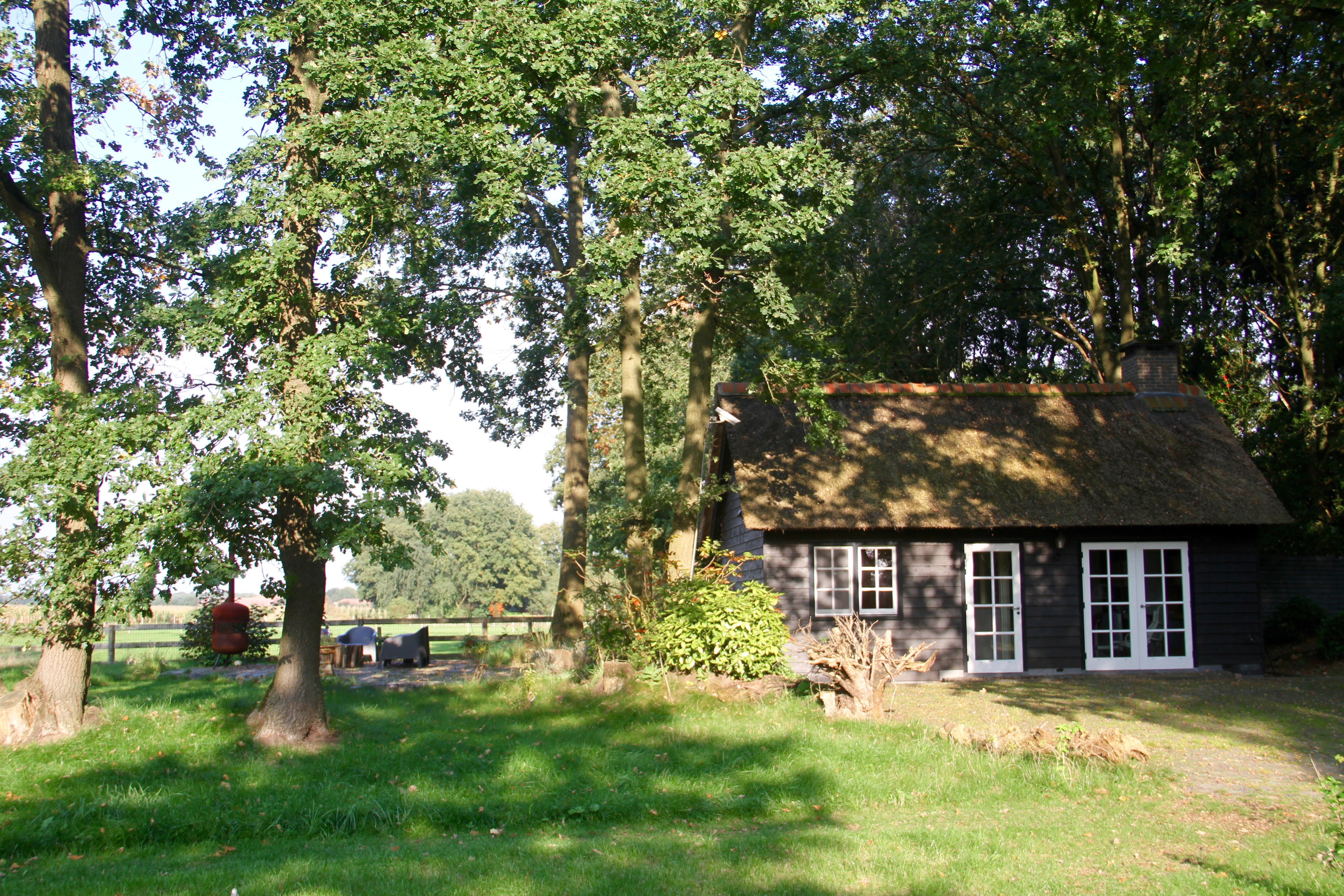 - image: 12