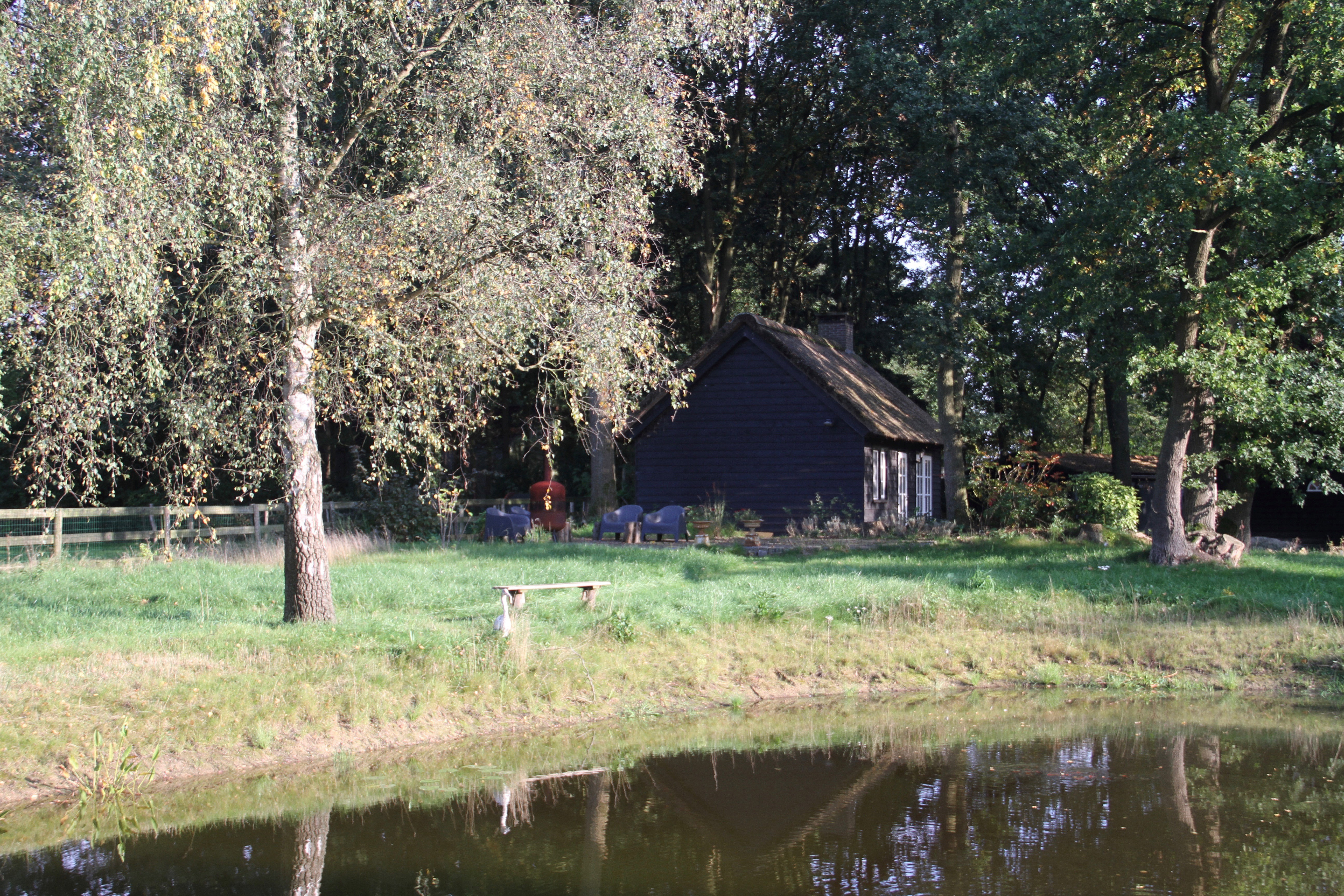 - image: 16